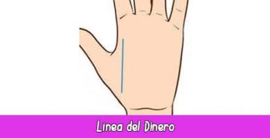Línea del Dinero | Quiromancia: Lectura de Manos