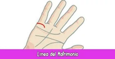 Línea del Matrimonio | Quiromancia: Lectura de Manos