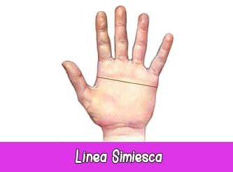 Línea Simiesca | Quiromancia: Lectura de Manos