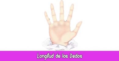 Longitud de los Dedos | Quiromancia: Lectura de Manos