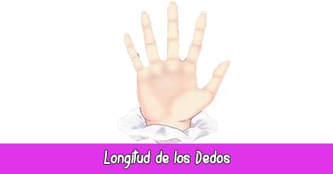 Longitud de los Dedos | Quiromancia: Lectura de Manos