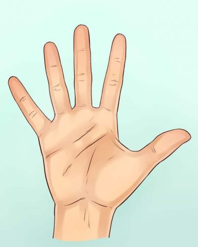 longitud de los dedos