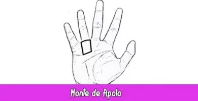Monte de Apolo | Quiromancia: Lectura de Manos