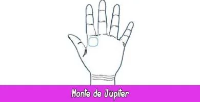 Monte de Júpiter | Quiromancia: Lectura de Manos