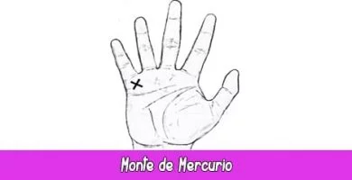 Monte de Mercurio | Quiromancia: Lectura de Manos