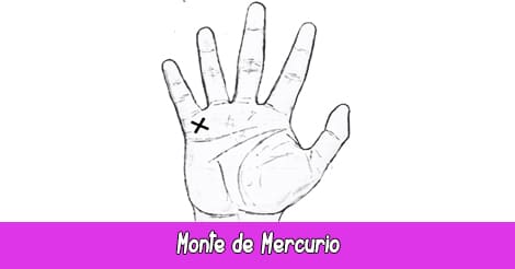 Monte de Mercurio | Quiromancia: Lectura de Manos