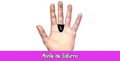 Monte de Saturno | Quiromancia: Lectura de Manos