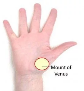 monte de venus mano