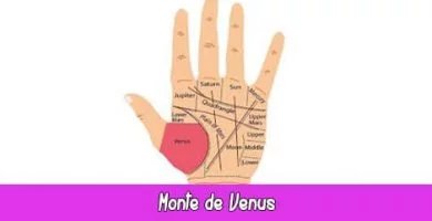 Monte de Venus | Quiromancia: Lectura de Manos