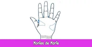 Montes de Marte | Quiromancia: Lectura de Manos