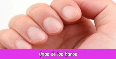 Uñas de las Manos | Quiromancia: Lectura de Manos