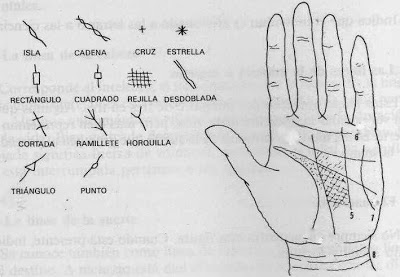 símbolos especiales en las líneas de las manos