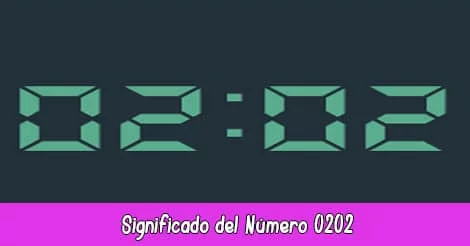 Significado del Número 0202