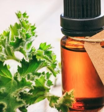 Aceite esencial de Citronela | Beneficios y Propiedades para la Salud