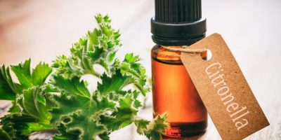 Aceite esencial de Citronela | Beneficios y Propiedades para la Salud Aceite esencial de Citronela | Beneficios y Propiedades para la Salud