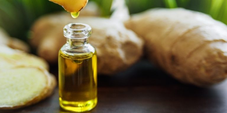 Aceite Esencial de jengibre | Beneficios y Propiedades para la Salud