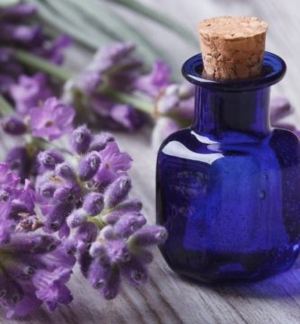 Aceite esencial de Lavanda | Beneficios y Propiedades para la Salud