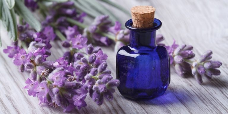 Aceite esencial de Lavanda | Beneficios y Propiedades para la Salud