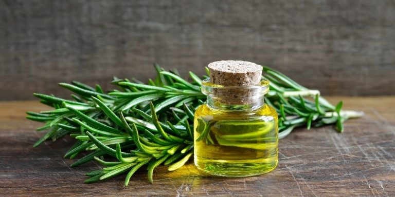 Aceite esencial de romero | Beneficios y Propiedades para la Salud