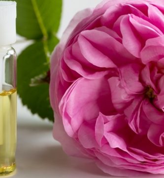 Aceite esencial de rosa de Damasco | Beneficios y Propiedades para la Salud
