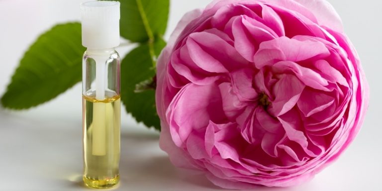 Aceite esencial de rosa de Damasco | Beneficios y Propiedades para la Salud