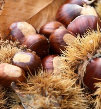 Flor de Bach Sweet Chestnut