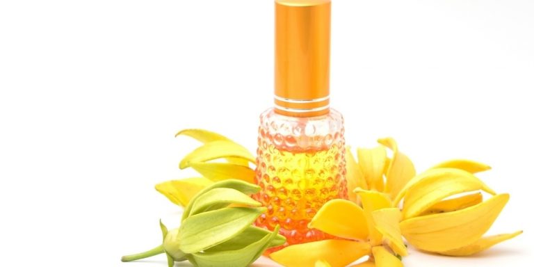 Aceite esencial de Ylang Ylang | Beneficios y Propiedades para la Salud