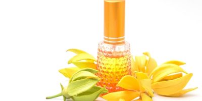 Aceite esencial de Ylang Ylang | Beneficios y Propiedades para la Salud