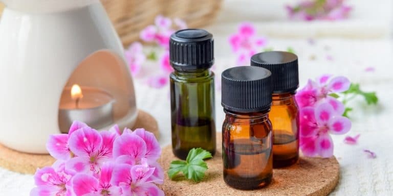 Aceite esencial de Geranio | Beneficios y Propiedades para la Salud