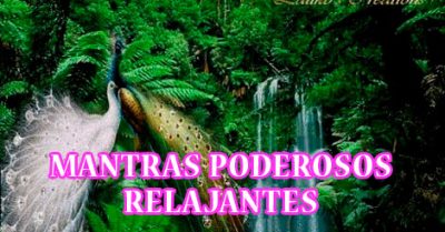 Mantras para la Calma y el Equilibrio: Una Guía Espiritual para Encontrar Paz Interior