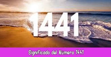 Significado del número 1441 en la Numerología | Hora 1441