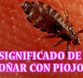 Que significa Soñar con piojos y liendres en la Cabeza