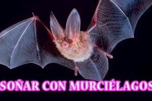 Significado de Soñar con Murciélagos Significado de Soñar con Murciélagos