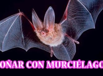Significado de Soñar con Murciélagos