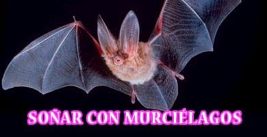 Significado de Soñar con Murciélagos