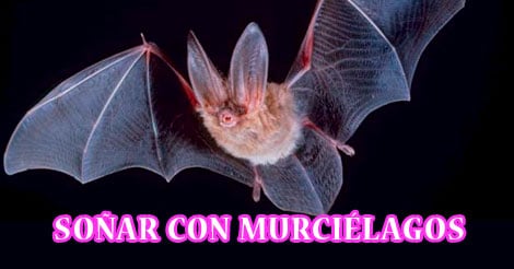 Significado de Soñar con Murciélagos