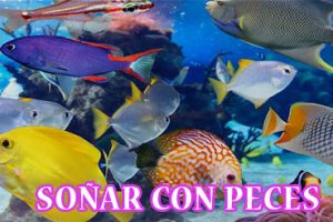 ¿Qué Significa Soñar con Peces? ¿Qué Significa Soñar con Peces?