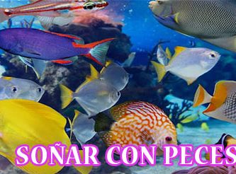 ¿Qué Significa Soñar con Peces?