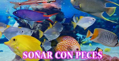 ¿Qué Significa Soñar con Peces?