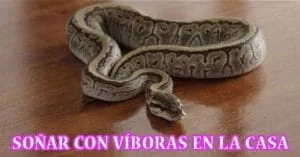 viboras en casa