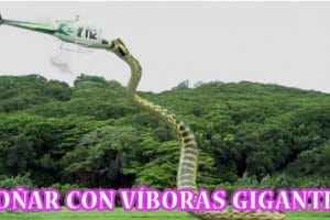 ¿Qué Significa Soñar con Víboras Gigantes? ¿Qué Significa Soñar con Víboras Gigantes?