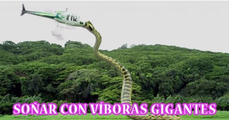 ¿Qué Significa Soñar con Víboras Gigantes?