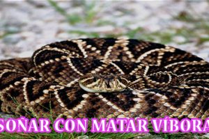 ¿Qué Significa Soñar con Matar Víboras? ¿Qué Significa Soñar con Matar Víboras?