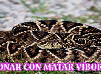 ¿Qué Significa Soñar con Matar Víboras?