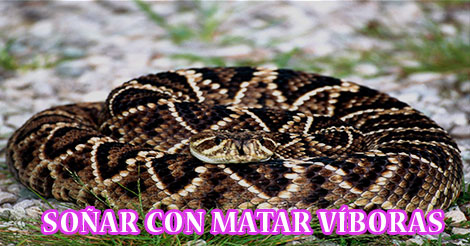 ¿Qué Significa Soñar con Matar Víboras?