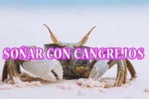 Soñar con cangrejos Soñar con cangrejos