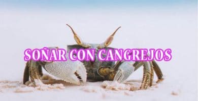 Soñar con cangrejos Soñar con cangrejos