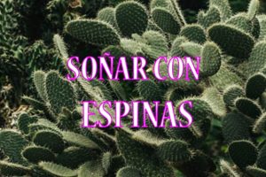 Soñar con espinas Soñar con espinas