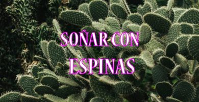 Soñar con espinas Soñar con espinas