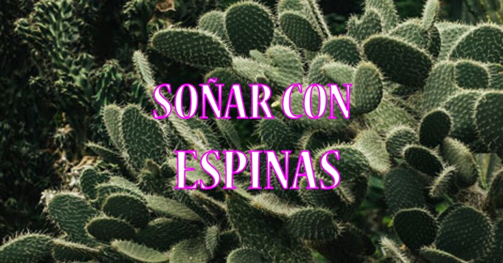 Soñar con espinas